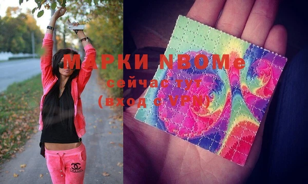 молекула духа Вязьма