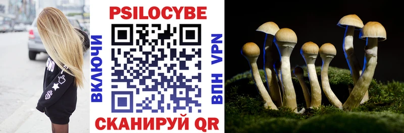 Купить где  Ряжск  Галлюциногенные грибы MAGIC MUSHROOMS 